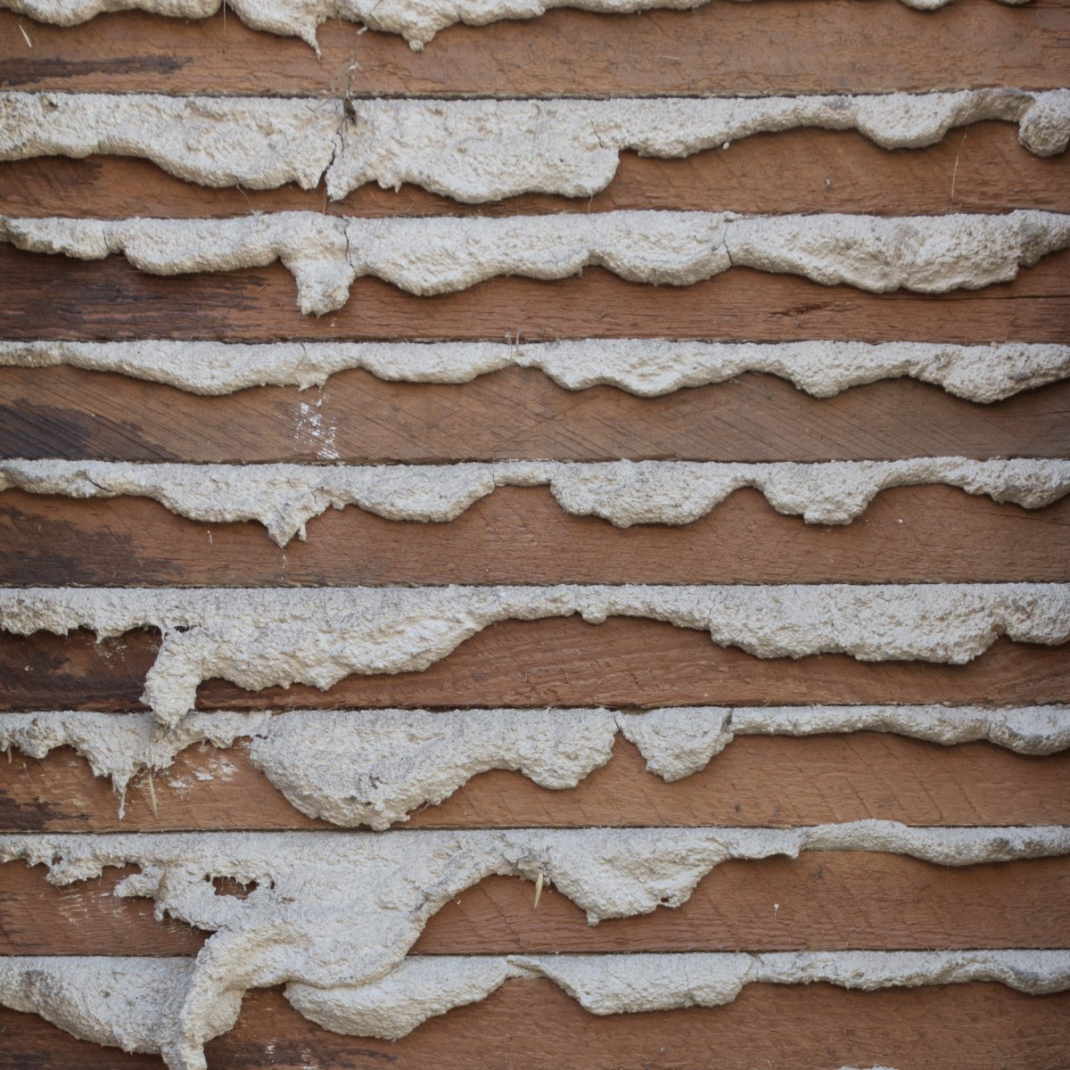 Should you keep lath and plaster or replace with modern plasterboard?